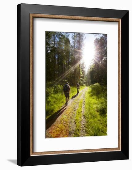 Young Men Hiking on an Outdoor Adventure Trail, the Chilterns, Buckinghamshire, England-Charlie Harding-Framed Photographic Print