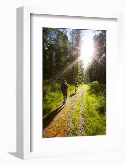 Young Men Hiking on an Outdoor Adventure Trail, the Chilterns, Buckinghamshire, England-Charlie Harding-Framed Photographic Print