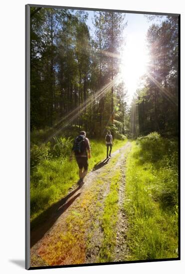Young Men Hiking on an Outdoor Adventure Trail, the Chilterns, Buckinghamshire, England-Charlie Harding-Mounted Photographic Print