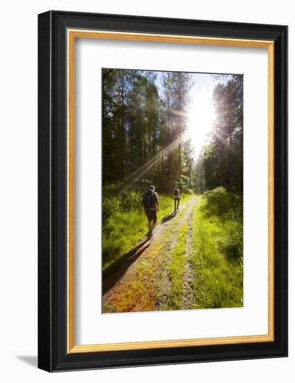 Young Men Hiking on an Outdoor Adventure Trail, the Chilterns, Buckinghamshire, England-Charlie Harding-Framed Photographic Print