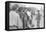 Young men who have been drafted wait in line to be processed into the US Army at Fort Jackson, SC-Warren K. Leffler-Framed Premier Image Canvas