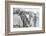 Young men who have been drafted wait in line to be processed into the US Army at Fort Jackson, SC-Warren K. Leffler-Framed Photographic Print