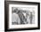 Young men who have been drafted wait in line to be processed into the US Army at Fort Jackson, SC-Warren K. Leffler-Framed Photographic Print