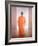 Young Monk, Back View, Vietnam-Lincoln Seligman-Framed Giclee Print