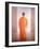 Young Monk, Back View, Vietnam-Lincoln Seligman-Framed Giclee Print