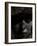 Young Nature-Nathan Wright-Framed Photographic Print