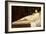 Young Nude Reclining-Jules Joseph Lefebvre-Framed Giclee Print