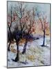 Young oaks in winter-Pol Ledent-Mounted Art Print