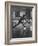 Young People Enjoying a Game of Badminton Inside of a Y.M.C.A-Ralph Crane-Framed Photographic Print