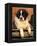 Young Pyrenean Mastiff Resting-Adriano Bacchella-Framed Premier Image Canvas