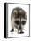 Young Raccoon-cynoclub-Framed Premier Image Canvas