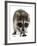 Young Raccoon-cynoclub-Framed Photographic Print