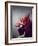 Young Redhead Throwing Head Back-Vania Stoyanova-Framed Photographic Print