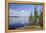 Young Scots Pine Trees (Pinus Sylvestris) Growing Near Rocky Shore of Lake Saimaa-Nick Upton-Framed Premier Image Canvas