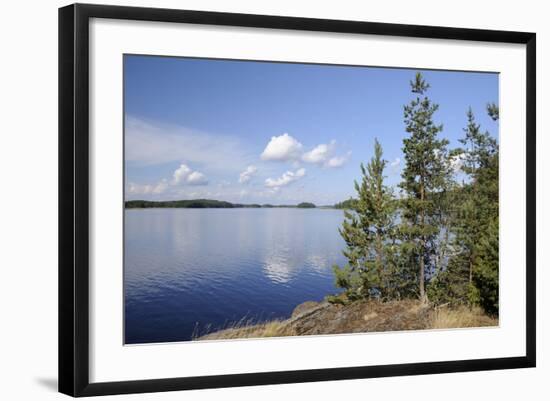 Young Scots Pine Trees (Pinus Sylvestris) Growing Near Rocky Shore of Lake Saimaa-Nick Upton-Framed Photographic Print