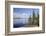 Young Scots Pine Trees (Pinus Sylvestris) Growing Near Rocky Shore of Lake Saimaa-Nick Upton-Framed Photographic Print