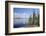 Young Scots Pine Trees (Pinus Sylvestris) Growing Near Rocky Shore of Lake Saimaa-Nick Upton-Framed Photographic Print