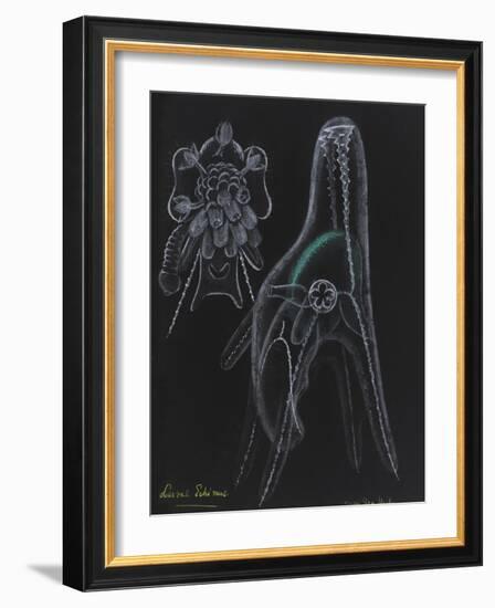 Young Sea Urchin (Larvae Echinus)-Philip Henry Gosse-Framed Giclee Print