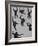 Young Siamans at Zoo-Nina Leen-Framed Photographic Print