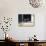 Young Somali Cat and Abyssinian Cat Sitting on Window Ledge, Italy-Adriano Bacchella-Photographic Print displayed on a wall