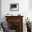 Young Somali Cat and Abyssinian Cat Sitting on Window Ledge, Italy-Adriano Bacchella-Framed Photographic Print displayed on a wall