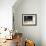 Young Somali Cat and Abyssinian Cat Sitting on Window Ledge, Italy-Adriano Bacchella-Framed Photographic Print displayed on a wall