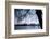 Young Spring in the Staffelsee with Birch in the Back Light, Uffing-Rolf Roeckl-Framed Photographic Print