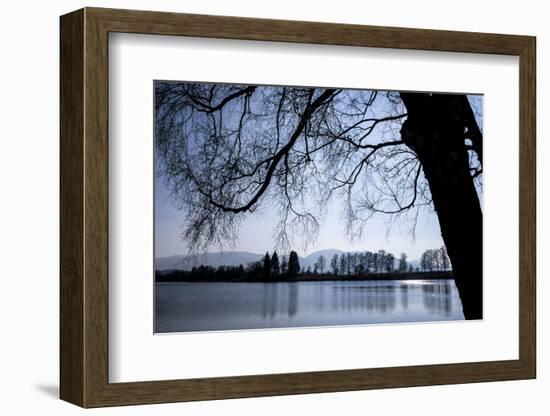 Young Spring in the Staffelsee with Birch in the Back Light, Uffing-Rolf Roeckl-Framed Photographic Print