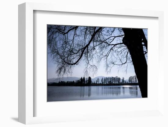 Young Spring in the Staffelsee with Birch in the Back Light, Uffing-Rolf Roeckl-Framed Photographic Print