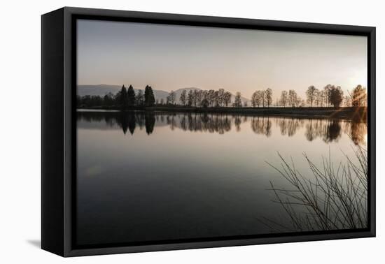 Young Spring in the Staffelsee with Tree Staffel in the Back Light, Uffing-Rolf Roeckl-Framed Premier Image Canvas