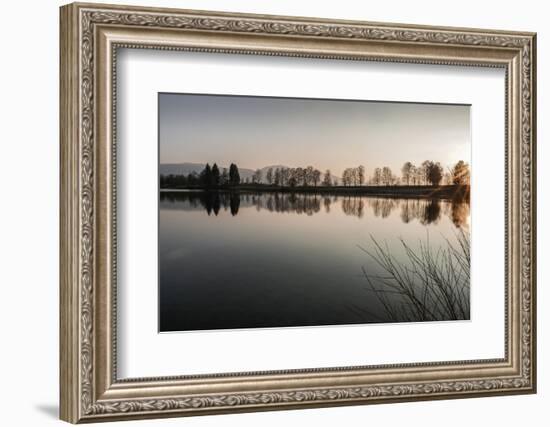 Young Spring in the Staffelsee with Tree Staffel in the Back Light, Uffing-Rolf Roeckl-Framed Photographic Print