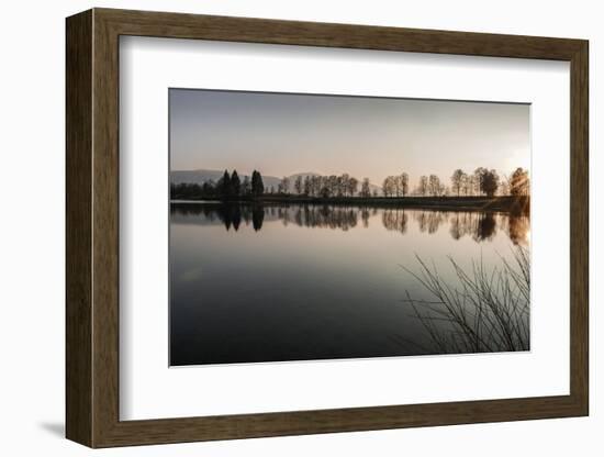 Young Spring in the Staffelsee with Tree Staffel in the Back Light, Uffing-Rolf Roeckl-Framed Photographic Print