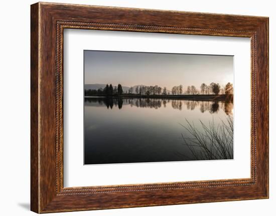 Young Spring in the Staffelsee with Tree Staffel in the Back Light, Uffing-Rolf Roeckl-Framed Photographic Print