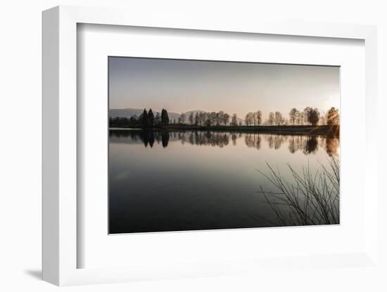 Young Spring in the Staffelsee with Tree Staffel in the Back Light, Uffing-Rolf Roeckl-Framed Photographic Print
