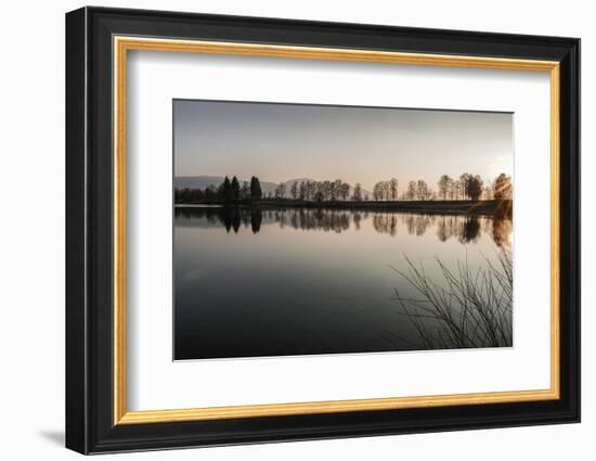 Young Spring in the Staffelsee with Tree Staffel in the Back Light, Uffing-Rolf Roeckl-Framed Photographic Print