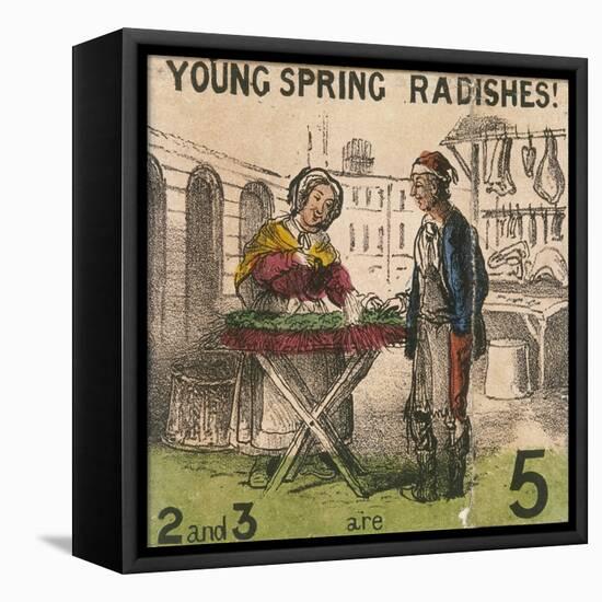 Young Spring Radishes!, Cries of London, C1840-TH Jones-Framed Premier Image Canvas