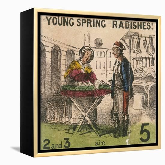 Young Spring Radishes!, Cries of London, C1840-TH Jones-Framed Premier Image Canvas