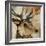 Young Stag-Kari Taylor-Framed Giclee Print