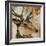 Young Stag-Kari Taylor-Framed Giclee Print