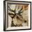 Young Stag-Kari Taylor-Framed Giclee Print