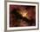 Young Star Surrounded by a Dusty Protoplanetary Disk-Stocktrek Images-Framed Photographic Print