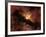 Young Star Surrounded by a Dusty Protoplanetary Disk-Stocktrek Images-Framed Photographic Print