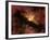 Young Star Surrounded by a Dusty Protoplanetary Disk-Stocktrek Images-Framed Photographic Print