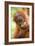 Young Sumatran Orangutan-Tony Camacho-Framed Photographic Print