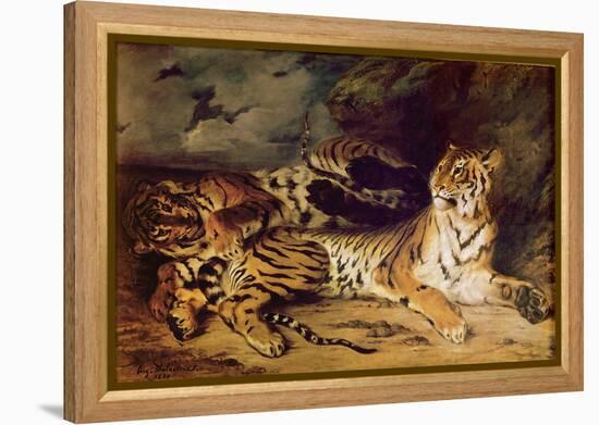 Young Tiger Playing with His Mother, 1830 (Oil on Canvas)-Ferdinand Victor Eugene Delacroix-Framed Premier Image Canvas