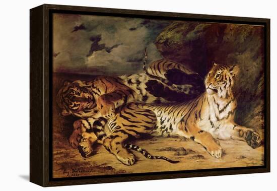 Young Tiger Playing with His Mother, 1830 (Oil on Canvas)-Ferdinand Victor Eugene Delacroix-Framed Premier Image Canvas