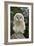 Young Ural Owl-Linda Wright-Framed Photographic Print