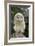 Young Ural Owl-Linda Wright-Framed Photographic Print