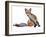 Young Vixen Grooming, 2021, (mixed media)-Mark Adlington-Framed Giclee Print