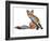 Young Vixen Grooming, 2021, (mixed media)-Mark Adlington-Framed Giclee Print